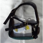 This-End-Up Halter For Alpacas